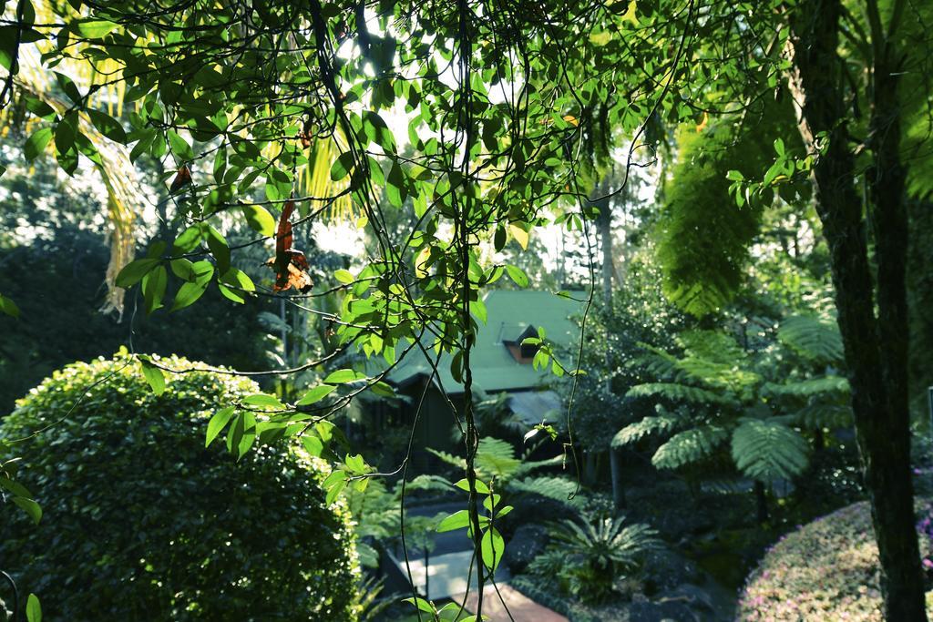 Escarpment Retreat & Day Spa For Couples Mount Tamborine Εξωτερικό φωτογραφία