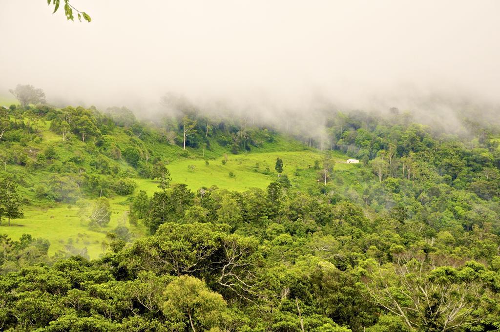 Escarpment Retreat & Day Spa For Couples Mount Tamborine Εξωτερικό φωτογραφία