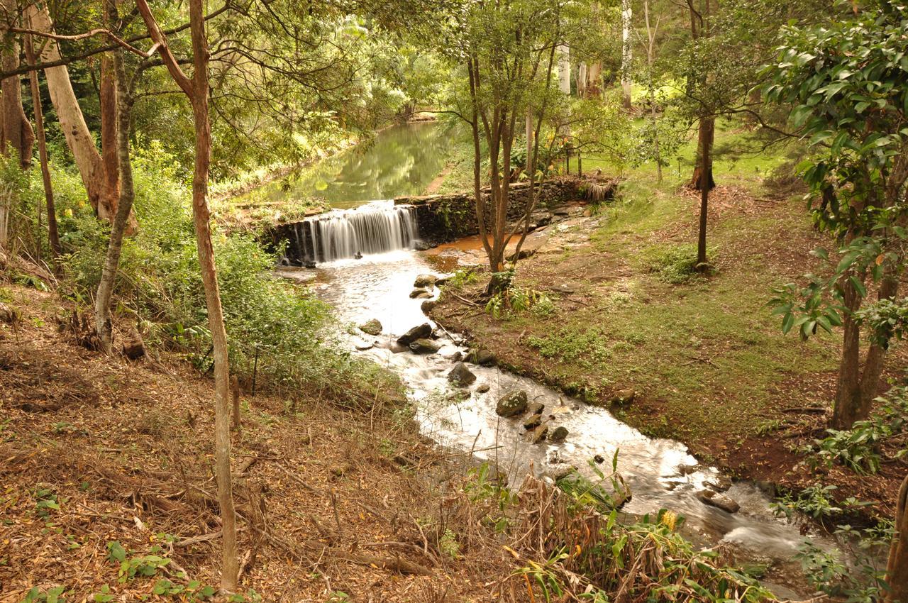 Escarpment Retreat & Day Spa For Couples Mount Tamborine Εξωτερικό φωτογραφία