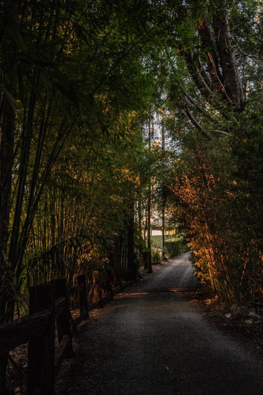 Escarpment Retreat & Day Spa For Couples Mount Tamborine Εξωτερικό φωτογραφία