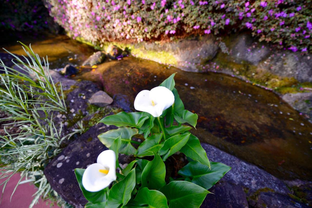 Escarpment Retreat & Day Spa For Couples Mount Tamborine Εξωτερικό φωτογραφία