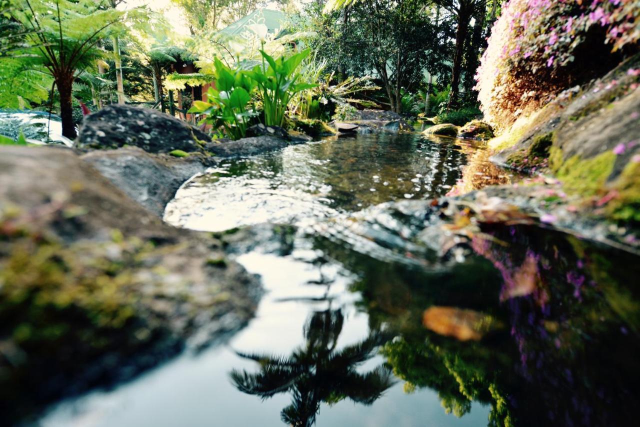 Escarpment Retreat & Day Spa For Couples Mount Tamborine Εξωτερικό φωτογραφία